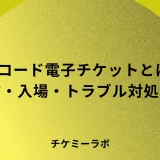 電子チケットとは？メリット・デメリットと使い方・入場の流れを解説！